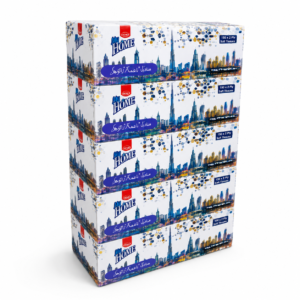 MYHOME FACIAL TISSUE BOXES 2 PLY / 300 SHEETS